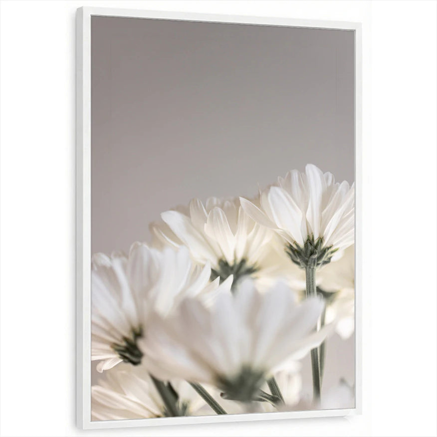 framed-print-white-standard