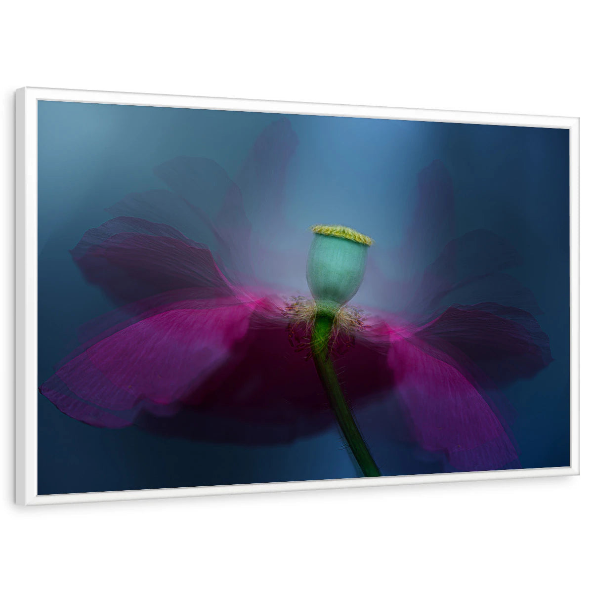 framed-print-white-standard