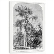 framed-print-white-standard