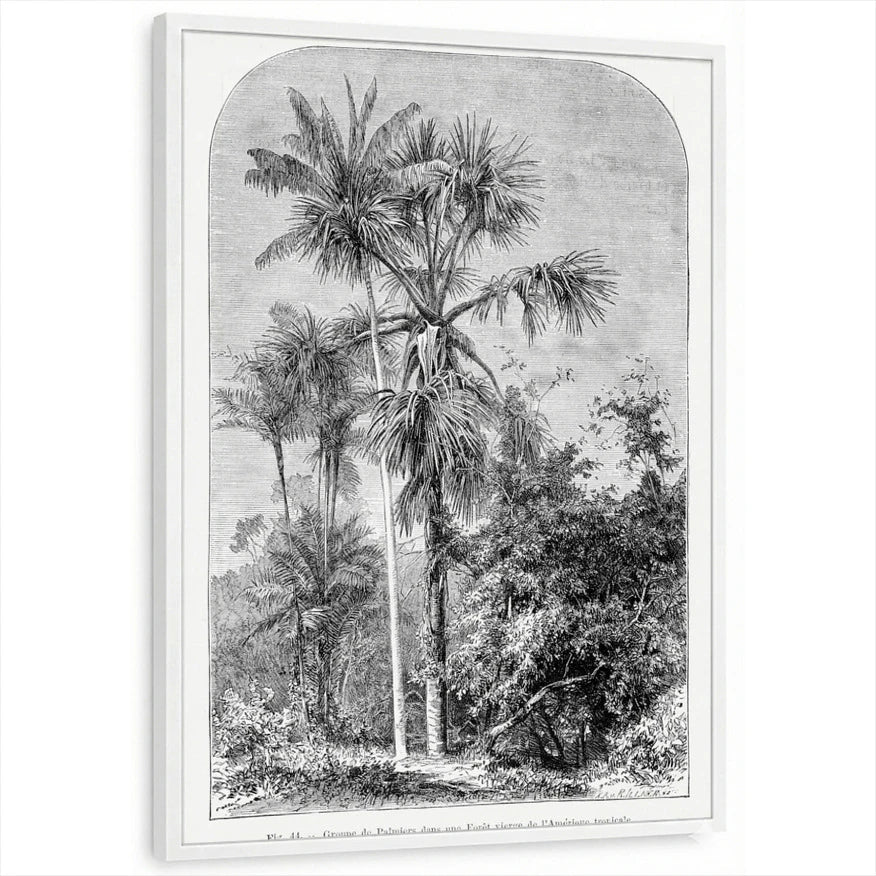 framed-print-white-standard