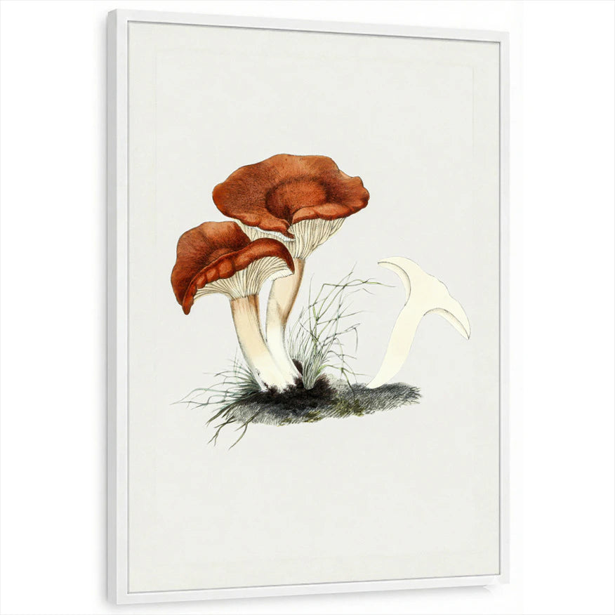 framed-print-white-standard