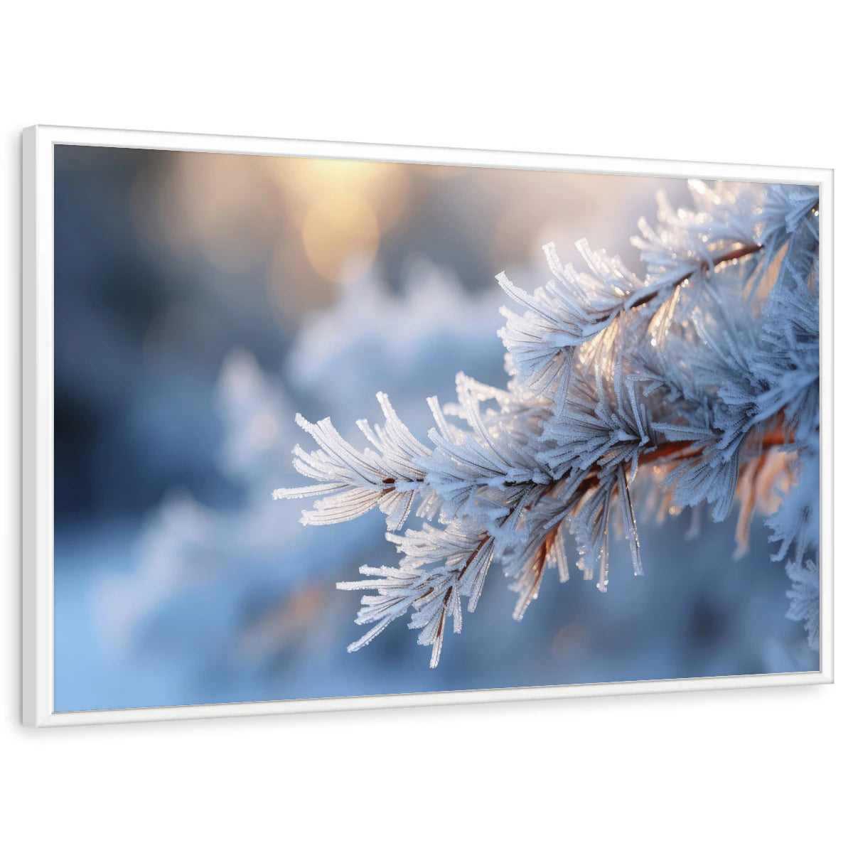 framed-print-white-standard