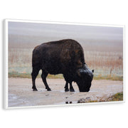 framed-print-white-standard