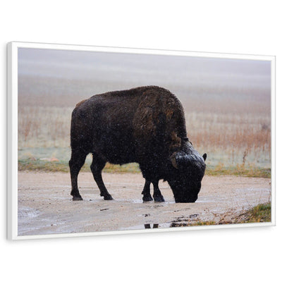 framed-print-white-standard