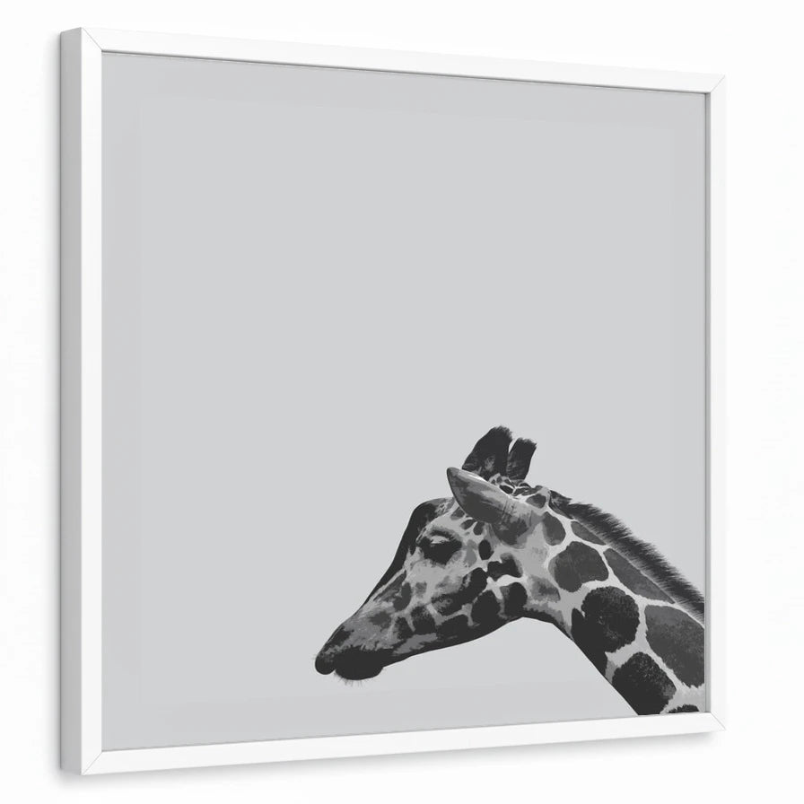 framed-print-white-standard