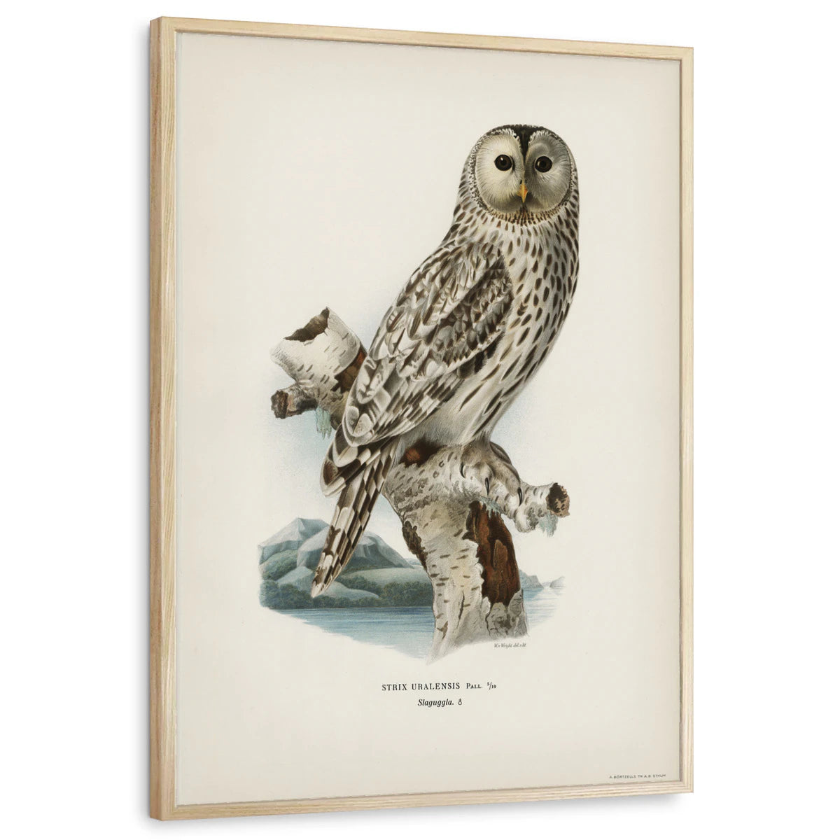 framed-print-natural-wood-standard