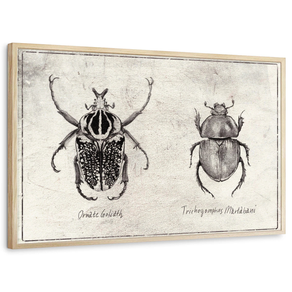framed-print-natural-wood-standard