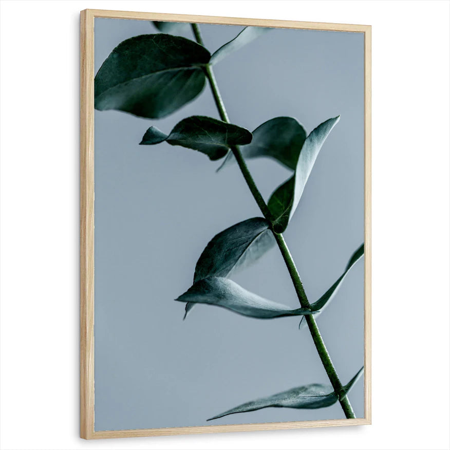 framed-print-natural-wood-standard