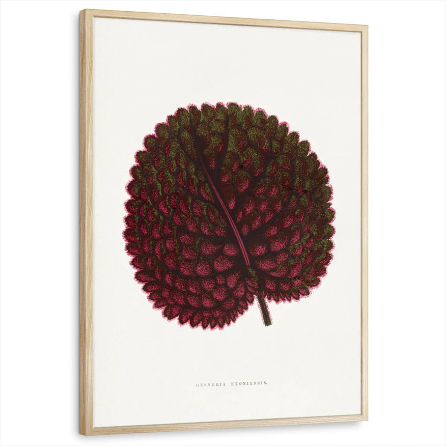 framed-print-natural-wood-standard