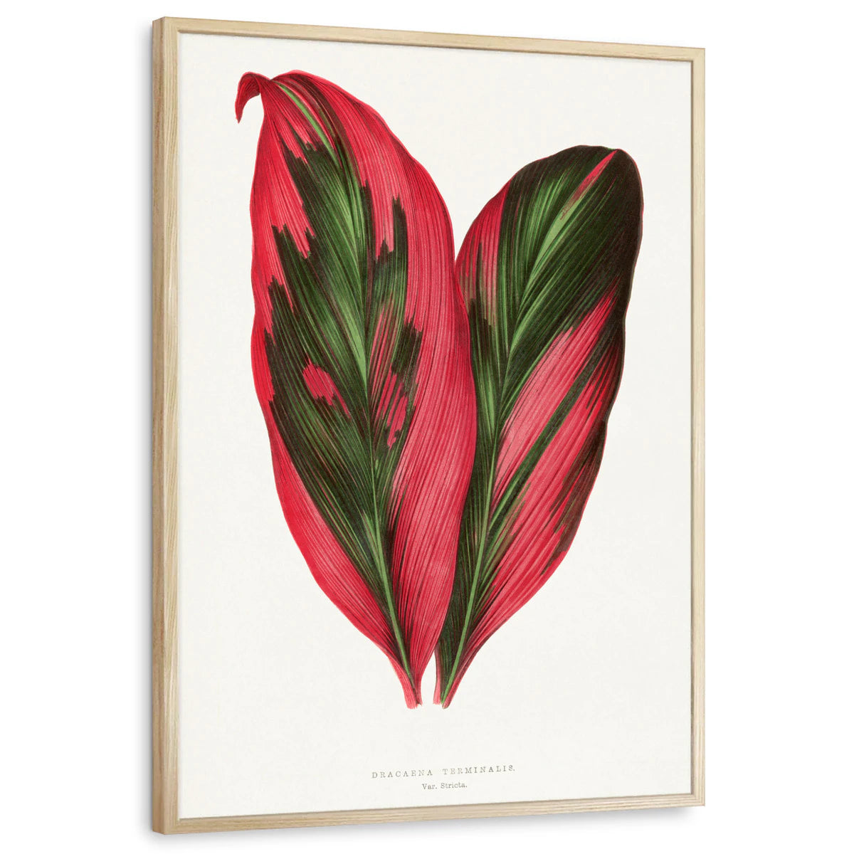 framed-print-natural-wood-standard