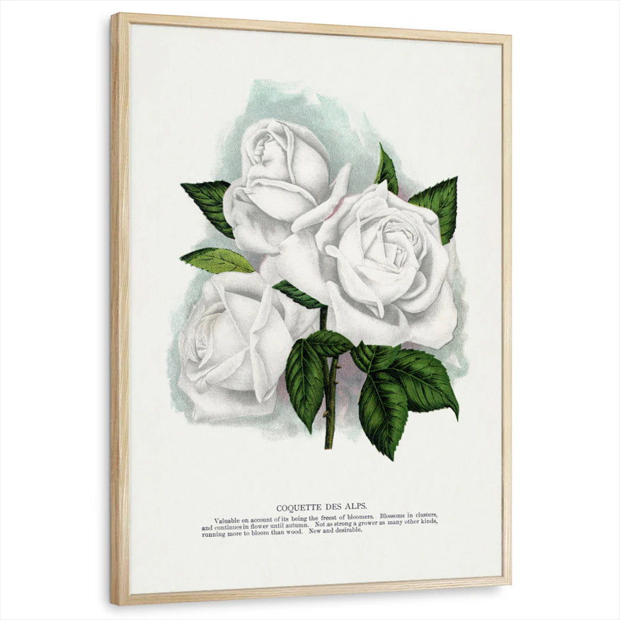 framed-print-natural-wood-standard