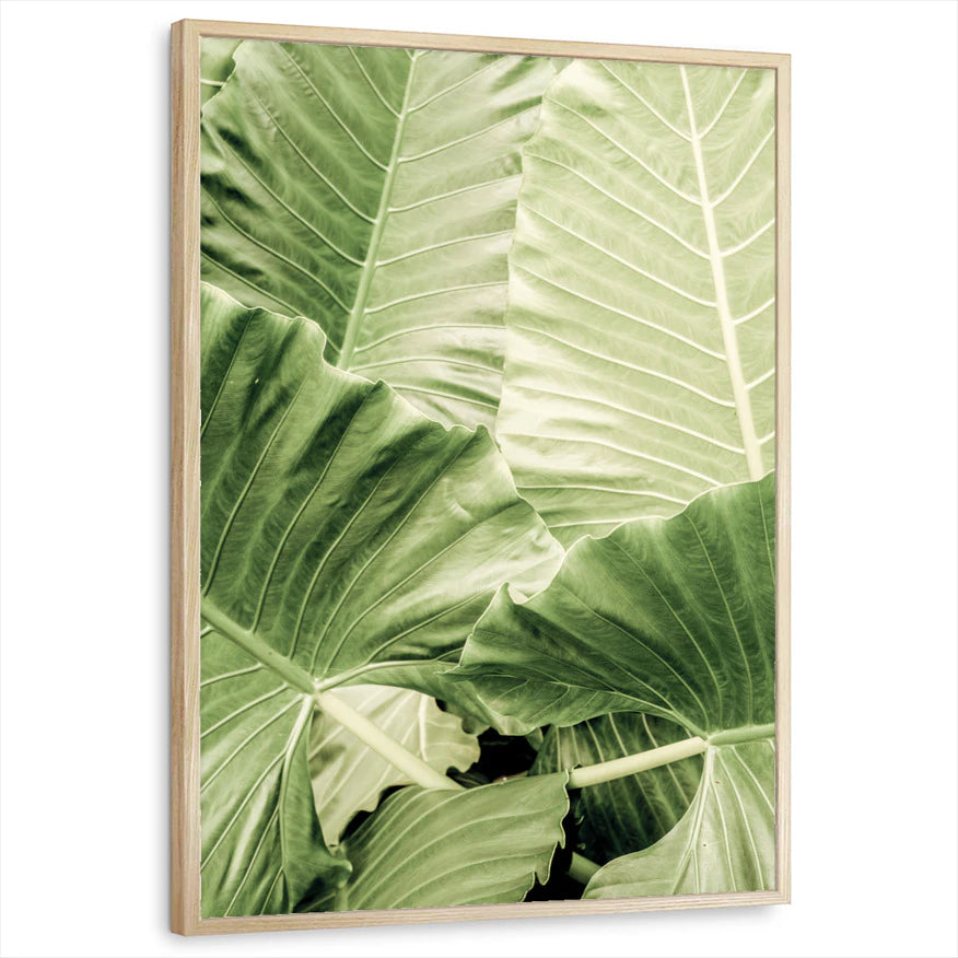 framed-print-natural-wood-standard