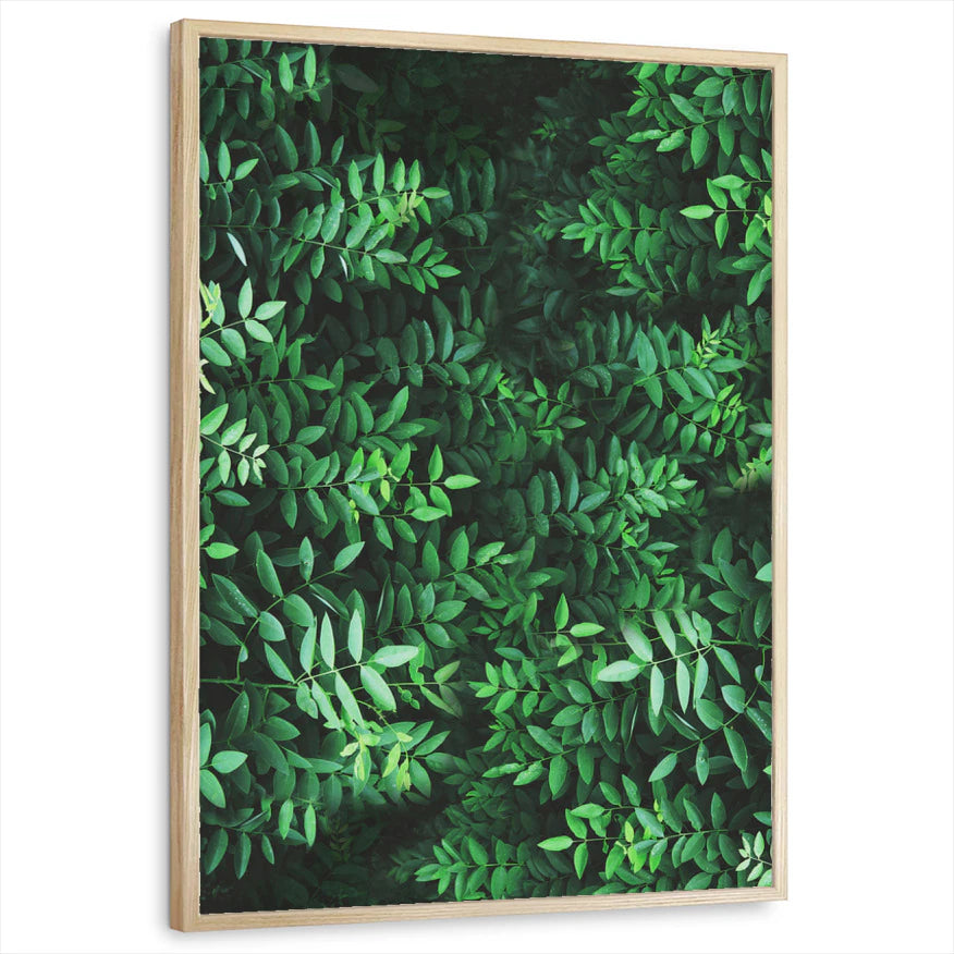 framed-print-natural-wood-standard