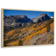 framed-print-natural-wood-standard