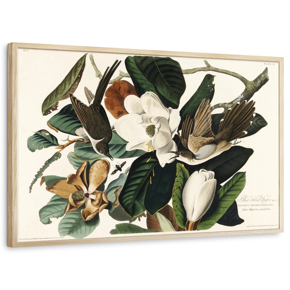 framed-print-natural-wood-standard