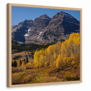 framed-print-natural-wood-standard