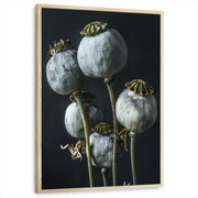 framed-print-natural-wood-standard