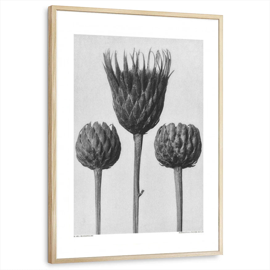 framed-print-natural-wood-standard