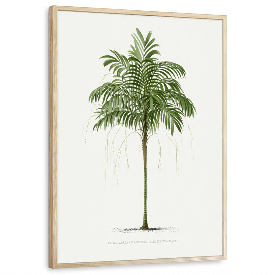 framed-print-natural-wood-standard