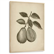 framed-print-natural-wood-standard