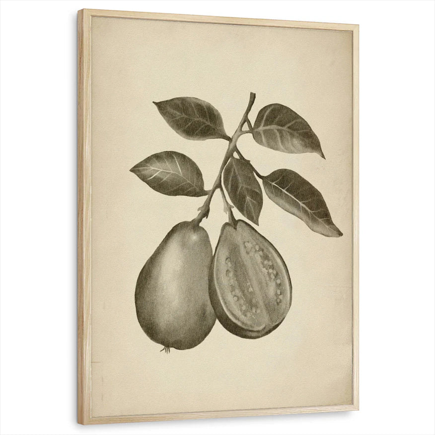 framed-print-natural-wood-standard