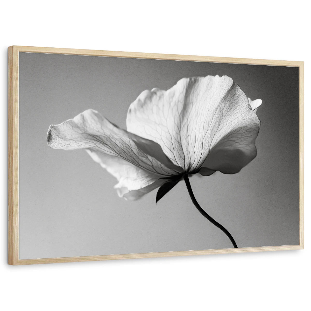 framed-print-natural-wood-standard