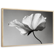 framed-print-natural-wood-standard