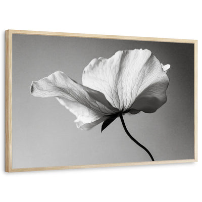 framed-print-natural-wood-standard