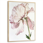 framed-print-natural-wood-standard