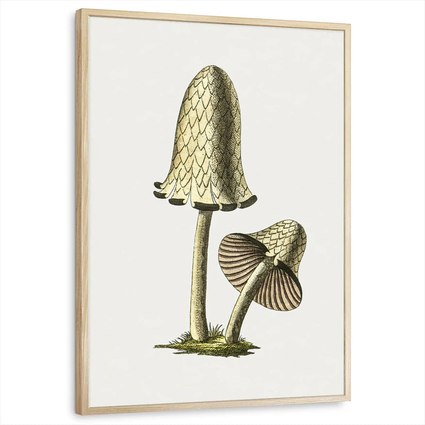 framed-print-natural-wood-standard