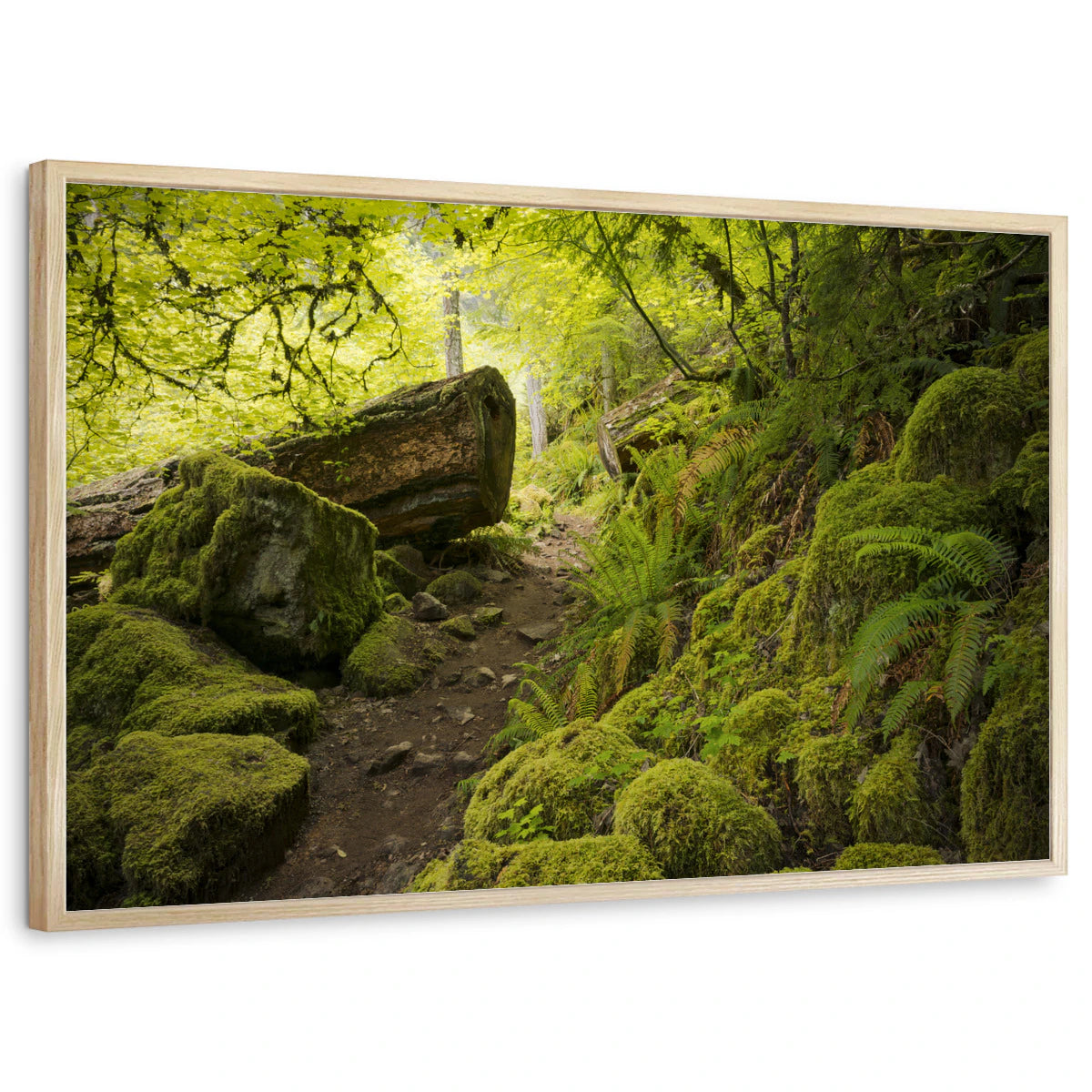 framed-print-natural-wood-standard