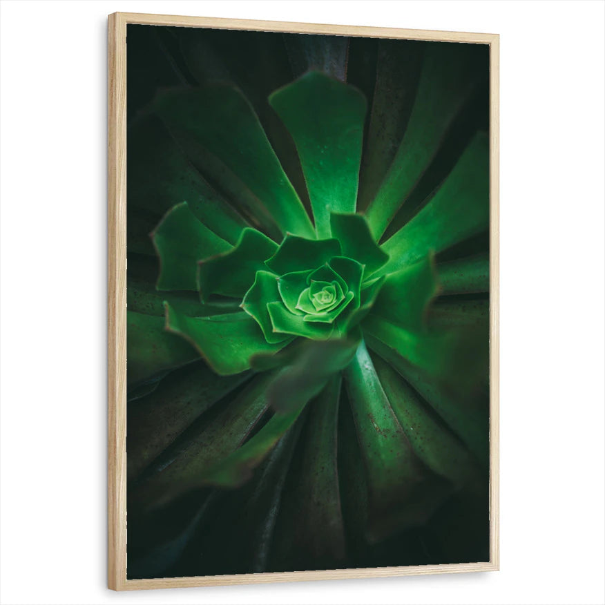 framed-print-natural-wood-standard