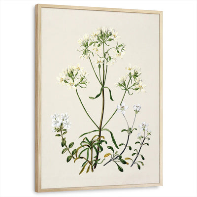 framed-print-natural-wood-standard