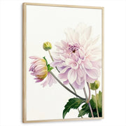 framed-print-natural-wood-standard