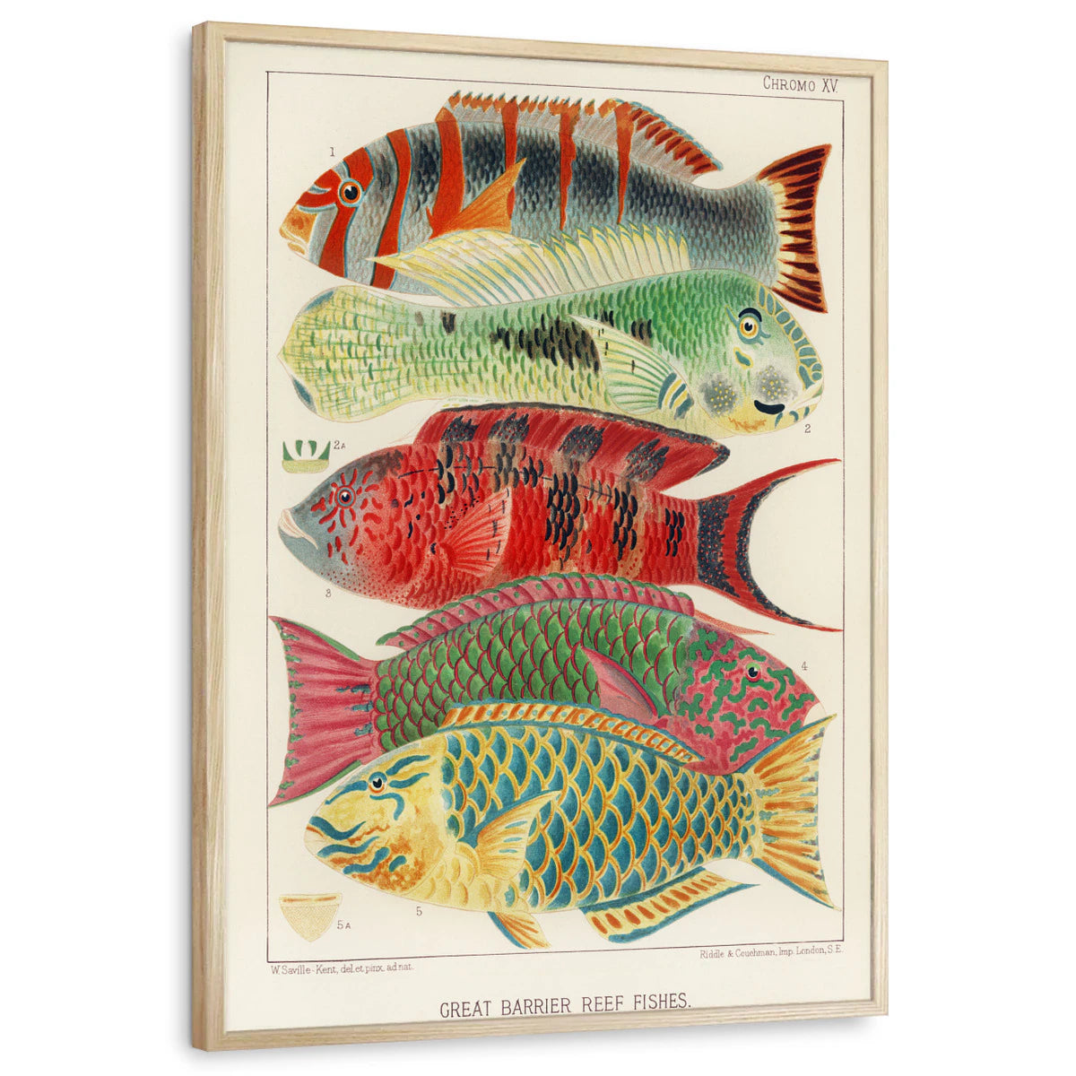 framed-print-natural-wood-standard