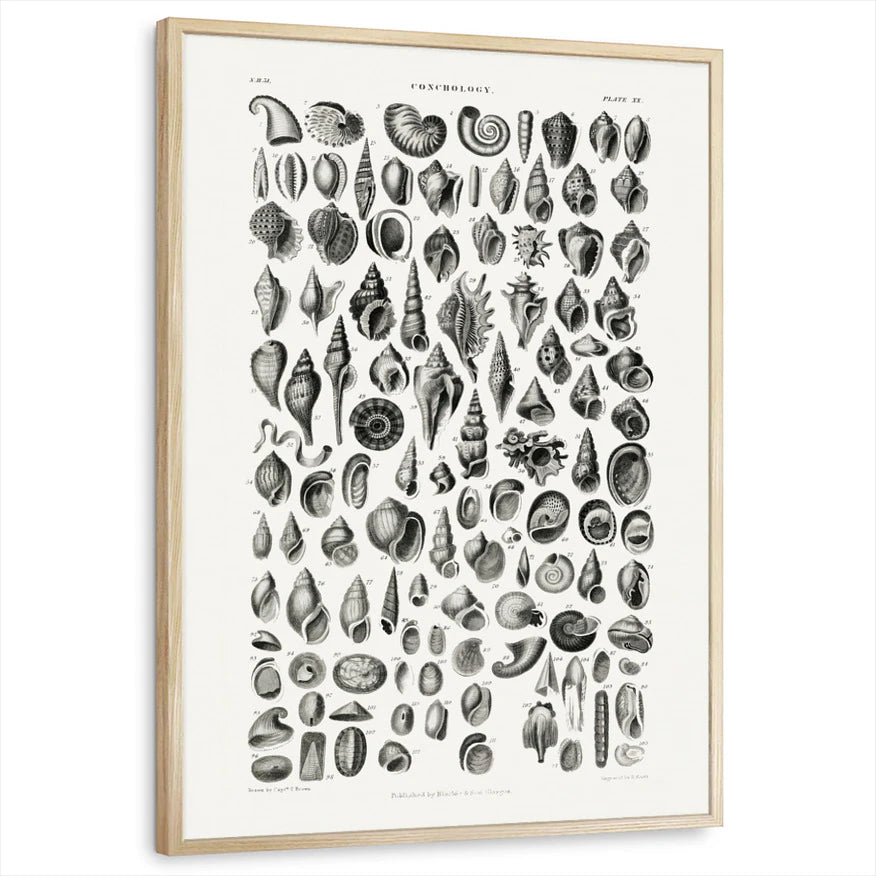 framed-print-natural-wood-standard