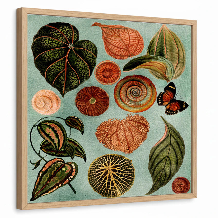 framed-print-natural-wood-standard