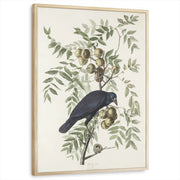framed-print-natural-wood-standard