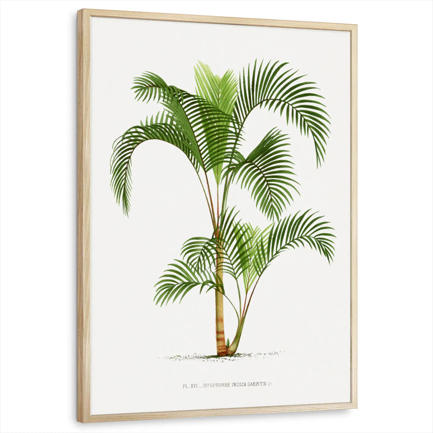 framed-print-natural-wood-standard