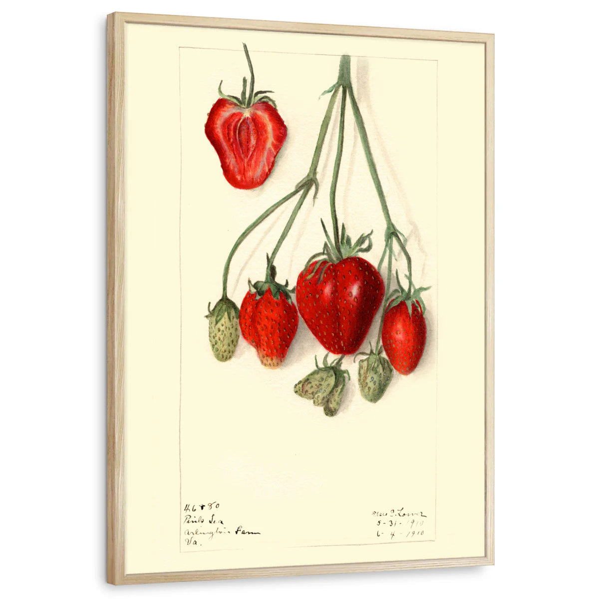 framed-print-natural-wood-standard