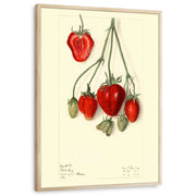 framed-print-natural-wood-standard