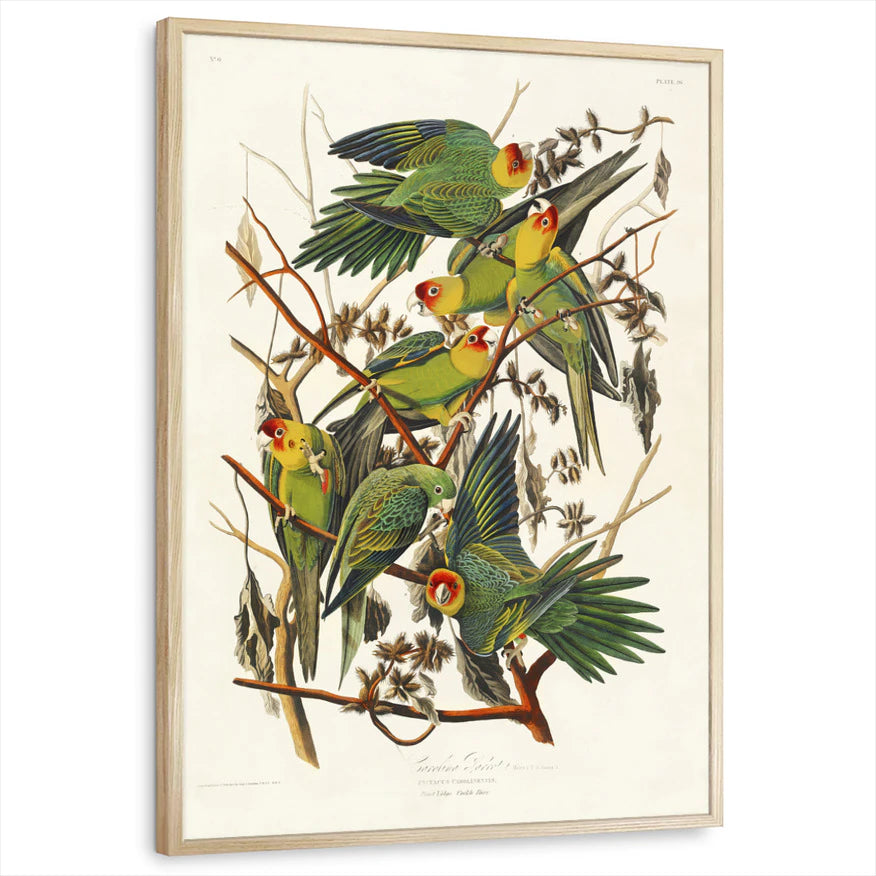 framed-print-natural-wood-standard