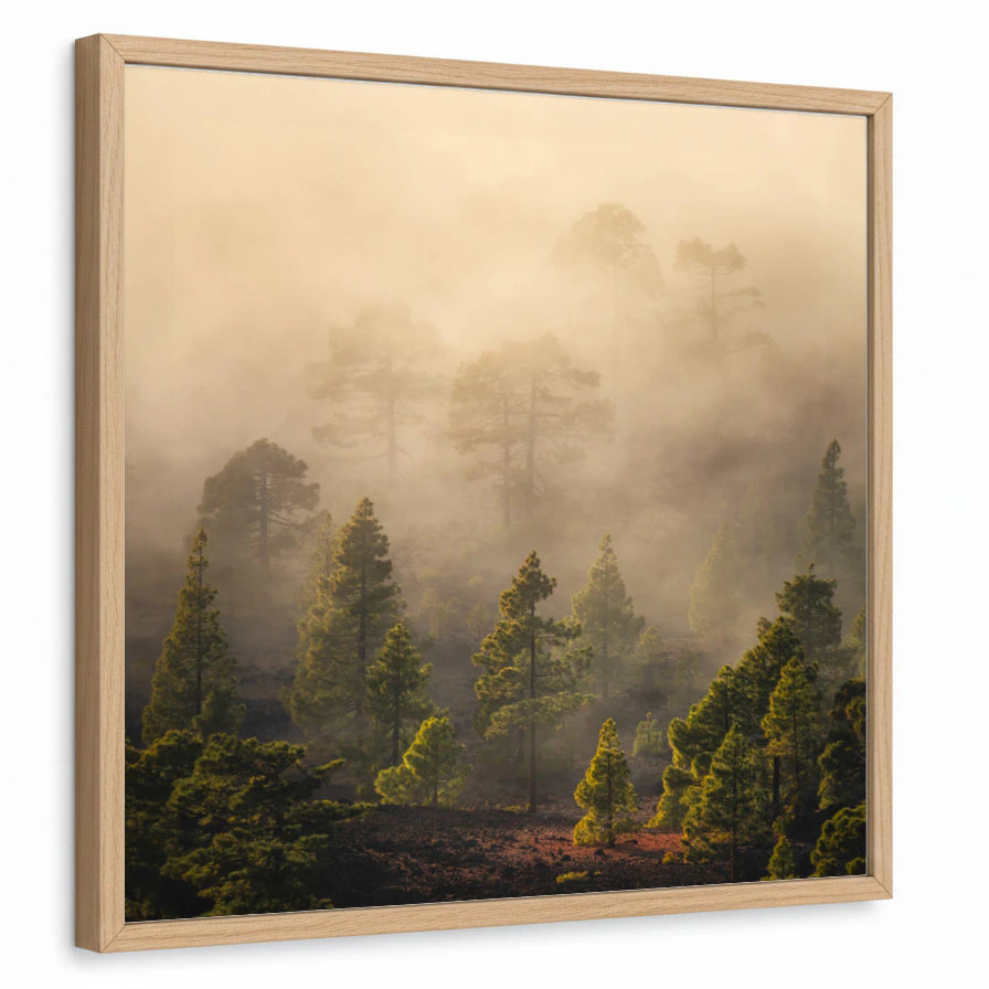 framed-print-natural-wood-standard