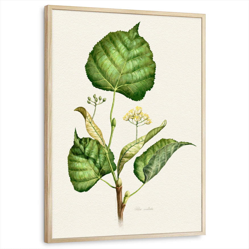 framed-print-natural-wood-standard