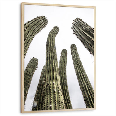 framed-print-natural-wood-standard