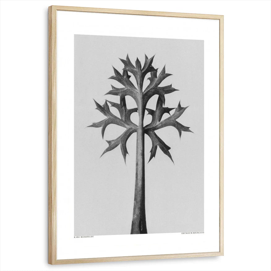 framed-print-natural-wood-standard