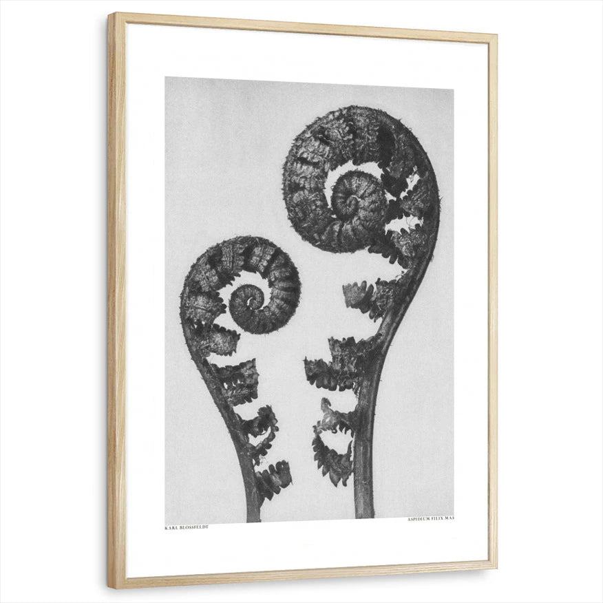 framed-print-natural-wood-standard