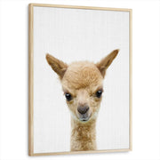 framed-print-natural-wood-standard