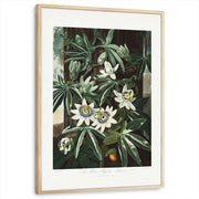 framed-print-natural-wood-standard
