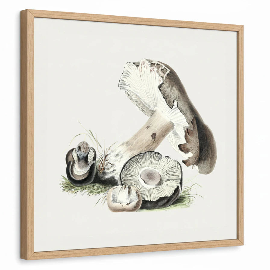 framed-print-natural-wood-standard